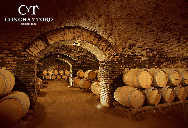 Ruta del Vino - Nampelkafes