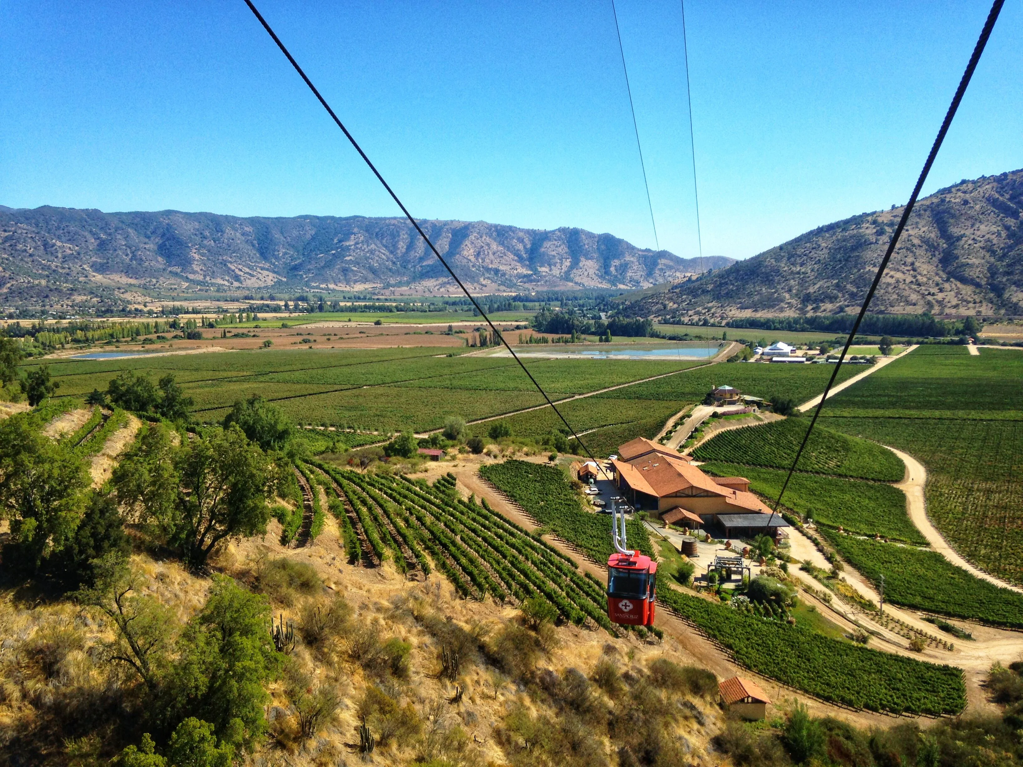 Ruta del Vino - Nampelkafes